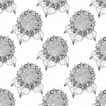 Sunflower seamless pattern hand drawn sketch, background, typography design v Stock Illustration
