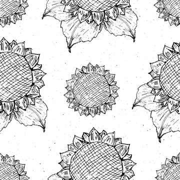 Sunflower seamless pattern hand drawn sketch, background, typography design v Illustrazione stock