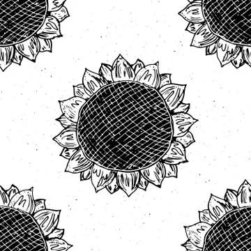 Sunflower seamless pattern hand drawn sketch, background, typography design v Illustrazione stock