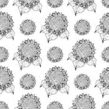 Sunflower seamless pattern hand drawn sketch, background, typography design v Stock Illustration