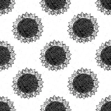 Sunflower seamless pattern hand drawn sketch, background, typography design v Stock Illustration