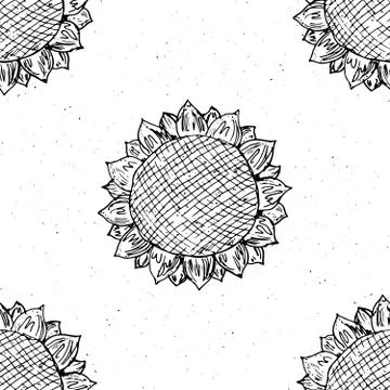 Sunflower seamless pattern hand drawn sketch, background, typography design v Stock Illustration