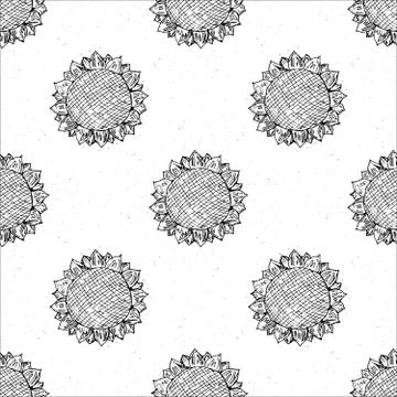 Sunflower seamless pattern hand drawn sketch, background, typography design v Illustrazione stock