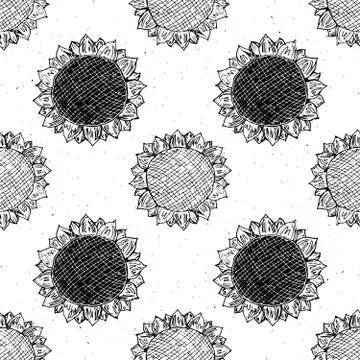 Sunflower seamless pattern hand drawn sketch, background, typography design v Stock Illustration