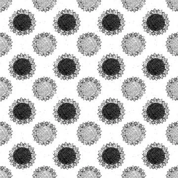 Sunflower seamless pattern hand drawn sketch, background, typography design v Stock Illustration