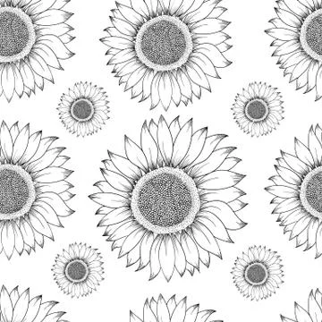 Sunflower seamless pattern. Hand drawn illustration. Food ingredient vintage Stock Illustration