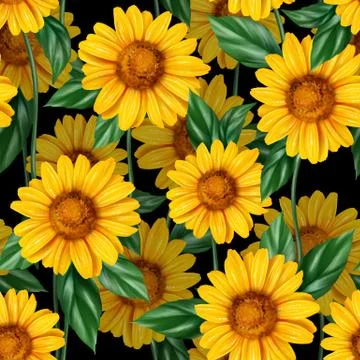 Sunflower seamless pattern Illustrazione stock