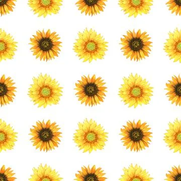Sunflower seamless pattern, Watercolor bright repeat pattern Illustrazione stock
