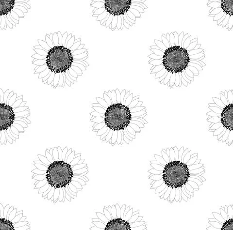 Sunflower Seamless on White Background Illustrazione stock