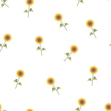 Sunflower Seamless on White Background Stock Illustration