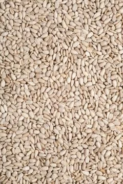 Sunflower seed background Stock Photos