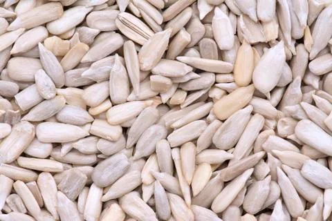Sunflower seed background Foto stock