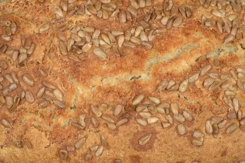 Sunflower Seed Bread Crust. Foto stock