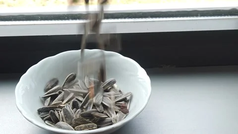 Sunflower seed falling in slow motion on a plate Stock Footage 158582144