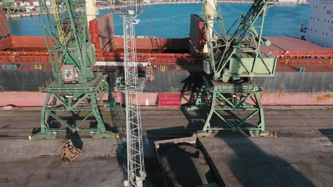 Sunflower seed grain loading in sea port. Wholesale trade of sunflower seeds Stock Footage 293738139