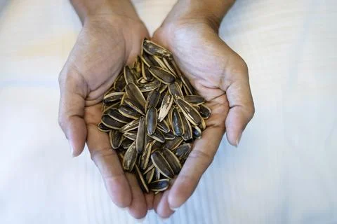 Sunflower Seed In Hands Stock Photos