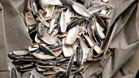 Sunflower seed husks falling on crumpled paper. Stock Footage 329098055