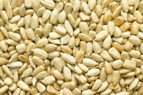 Sunflower seed kernel background closeup Stock Photos