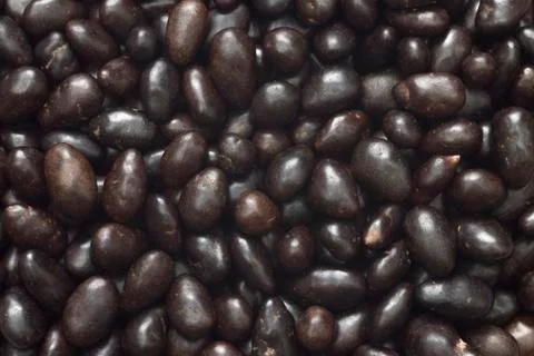 Sunflower seed kernel in chocolate closeup Stock Photos