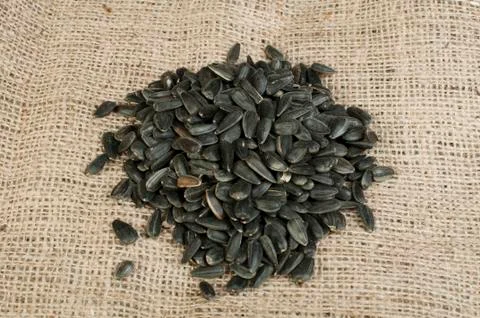 Sunflower seed Stock Photos