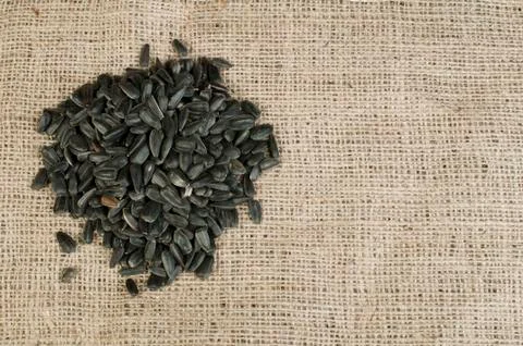 Sunflower seed Stock Photos