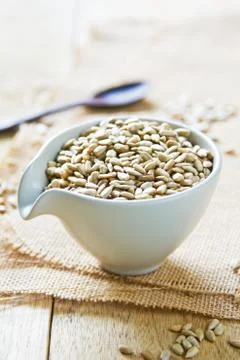Sunflower seed Stock Photos