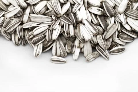 Sunflower seed Stock Photos