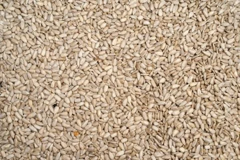 Sunflower seed Stock Photos