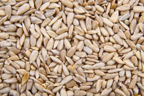 Sunflower seed Stock Photos