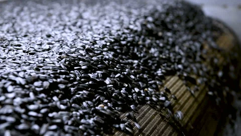 Sunflower seed processing at the factory. Video stock 99572264