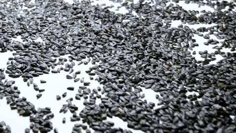 Sunflower seed processing at the factory. Video stock 99572369