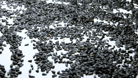 Sunflower seed processing at the factory. Video stock 99572625
