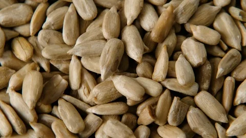 Sunflower seed rotating background, close up, Top view Stock Footage 127493952