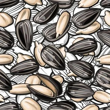 Sunflower seed seamless pattern background 스톡 일러스트