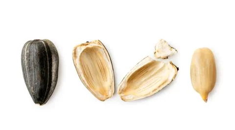 Sunflower seed, shell and kernel on a white. The view of the top. Stock Photos