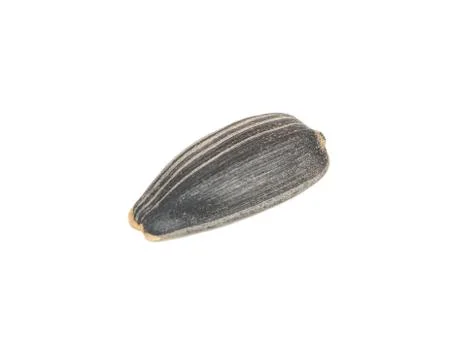 Sunflower seed in shell Foto stock