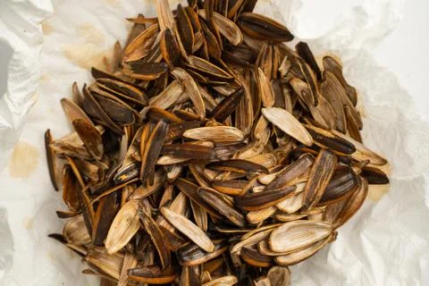 Sunflower seed shells. Background empty Sunflower seed shells Stock Photos