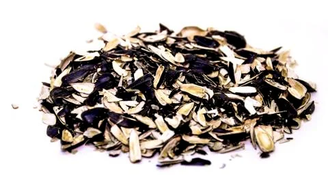 Sunflower seed shells Stock Photos