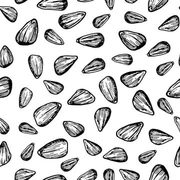 Sunflower seed vector seamless pattern. Hand drawn background. Food ingedient Illustrazione stock