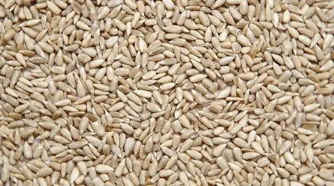 Sunflower seeds are spinning on a table. Stock Footage 35366109