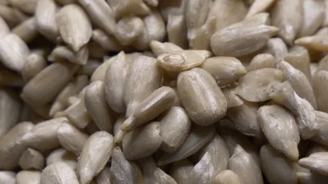 Sunflower seeds arranged in a random pattern Stock Footage 283264841