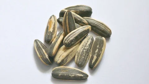 Sunflower seeds on the background Stock Footage 85044230