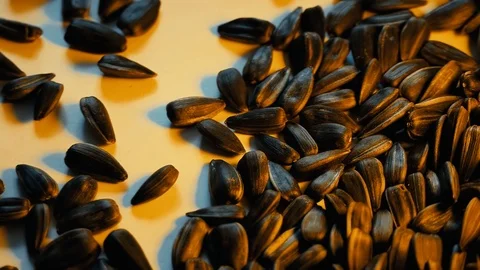 Sunflower seeds background Stock Footage 110689406