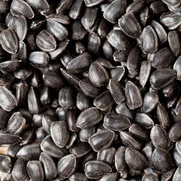 Sunflower seeds background Stock Photos