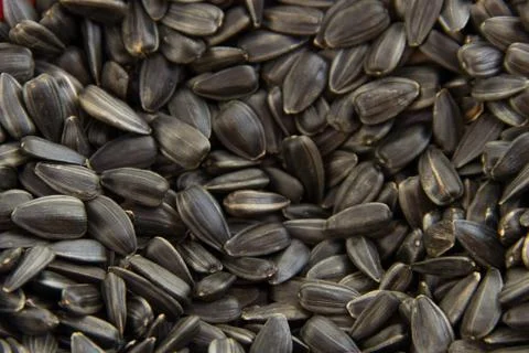 Sunflower seeds background Stock Photos