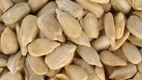 Sunflower seeds close up Stock Footage 83614267