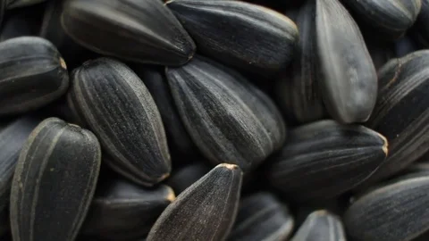 Sunflower seeds close up Stock Footage 83615161