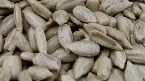 Sunflower seeds close-up in rotating motion Stock Footage 261344179