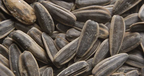 Sunflower seeds close up studio shot over rotating Stockbeeldmateriaal 324840628