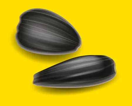 Sunflower Seeds. Concept. Why We Love Them So Much Stock Illustration